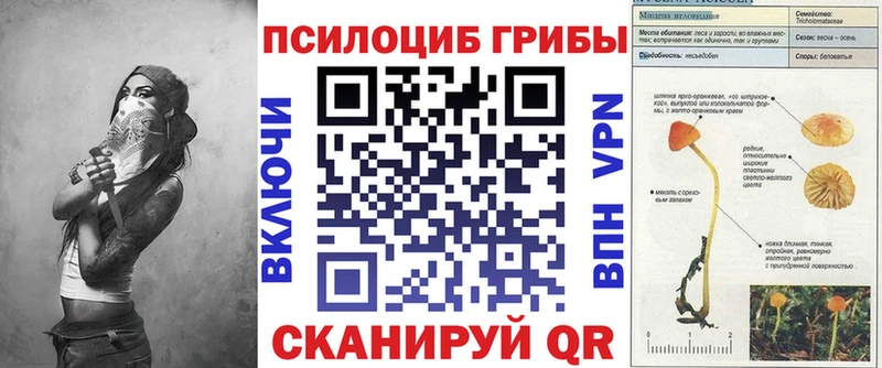 Псилоцибиновые грибы ЛСД  сайты даркнета официальный сайт  Самара  где найти  
